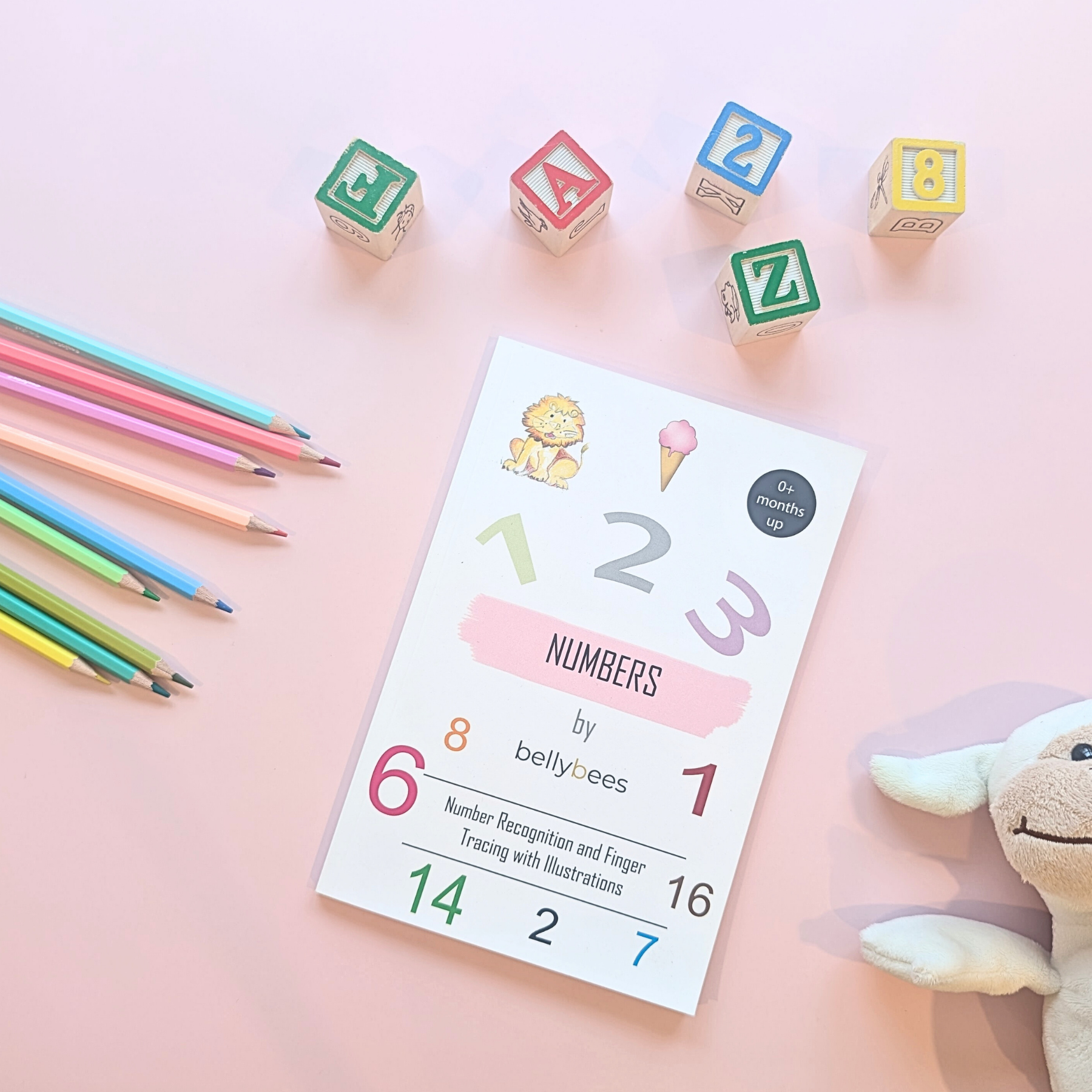 My First 1 2 3... Numbers and Counting