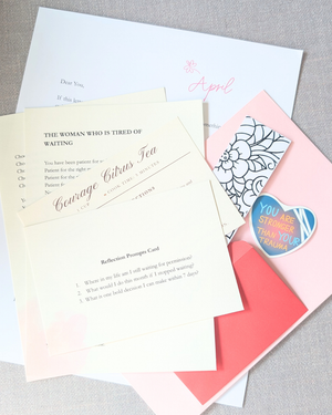 The Brave Mail Club - 12 month Snail Mail Subscription