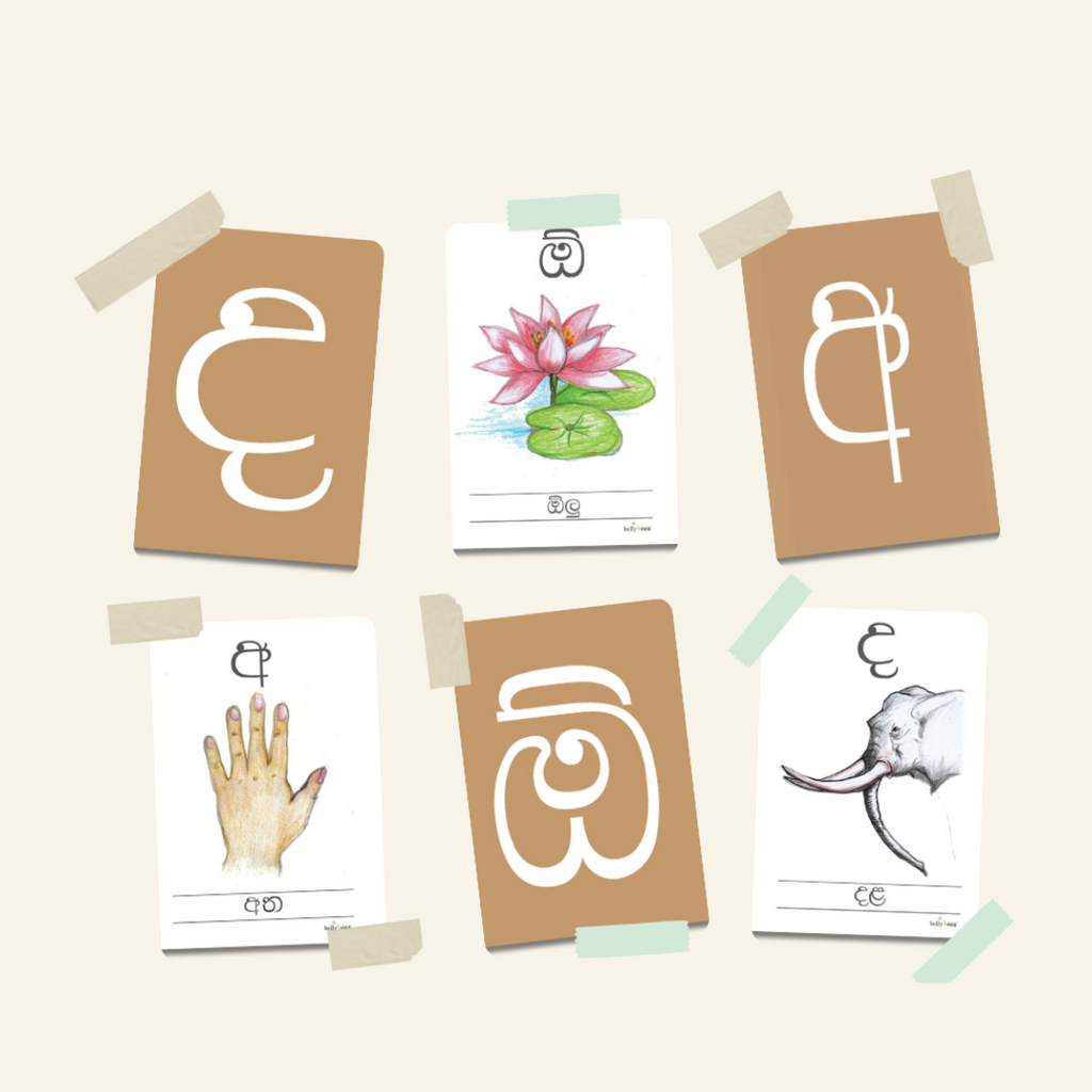 Sinhala Hodiya Flashcards