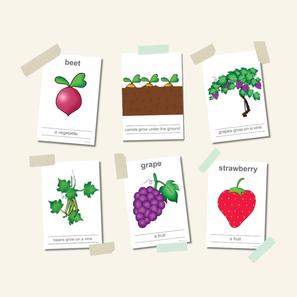 Fruits and Vegetables Flashcards