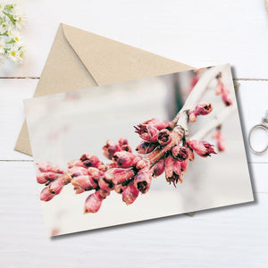 Flower Bloom Greeting Card