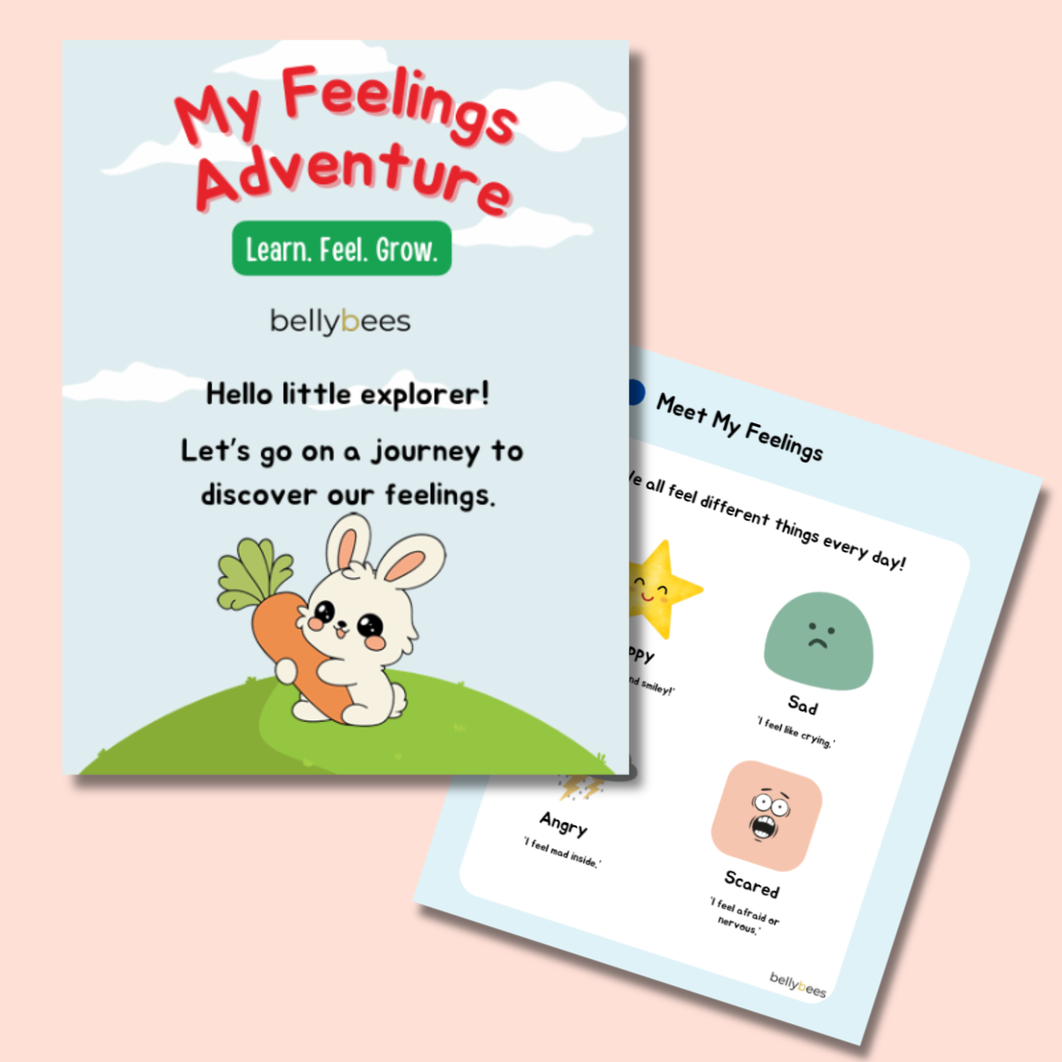 Emotional Intelligence Activity Book