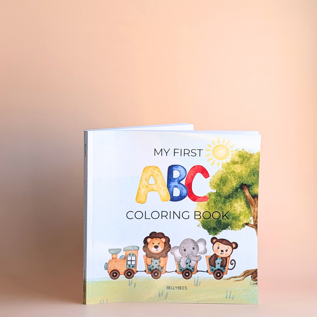 Pre Kindergarten Starter Kit for Developmental Play