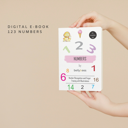 My First 1 2 3... Numbers and Counting E-BOOK
